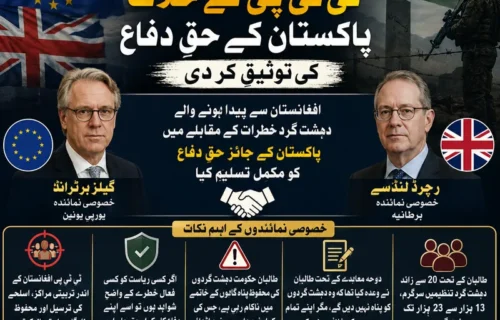 یورپی یونین اور برطانیہ کی ٹی ٹی پی کے خلاف پاکستان کے حقِ دفاع کی توثیق