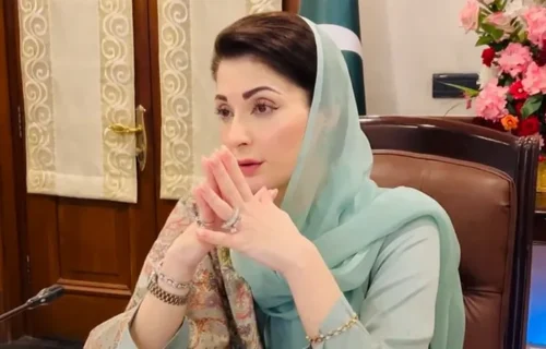 وزیراعلیٰ مریم نواز کی سربراہی میں پیرا کی ڈیجیٹلائزیشن اور کارکردگی کا جائزہ