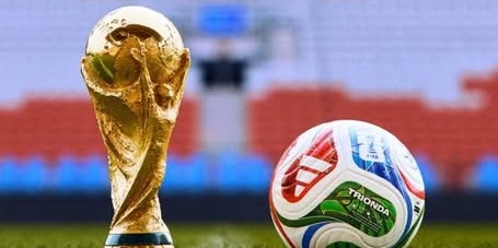 فیفا ورلڈ کپ میں ترکیہ کو 0-2 سے شکست، آسٹریلیا میں جشن کا سماں