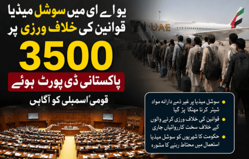 یو اے ای میں سوشل میڈیا قوانین کی خلاف ورزی پر 3500 پاکستانی ڈی پورٹ ہوئے، قومی اسمبلی کو آگاہی