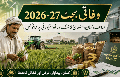 وفاقی بجٹ 2026-27: زراعت کے لیے اسٹوریج فنانسنگ، کسانوں کو محفوظ پیداوار پر قرض اور فوڈ سکیورٹی پر نیا فوکس