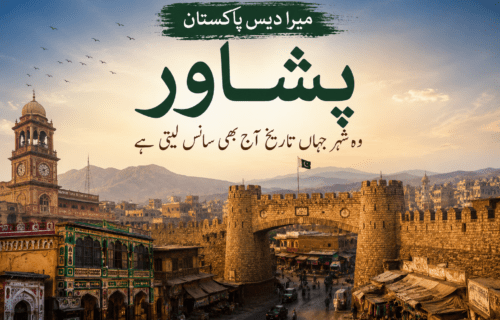 پشاور: تہذیبوں کا سنگم، تاریخ کا شہر جہاں ماضی اور حال گلے ملتے ہیں