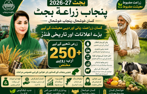 پنجاب بجٹ 2026-27: کسان، زراعت، پانی اور دیہی معیشت کے لیے کیا رکھا گیا؟