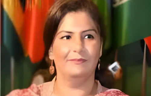 رئیسہ عادل پرنسپل انفارمیشن آفیسر تعینات، مبشر حسن کی تبدیلی