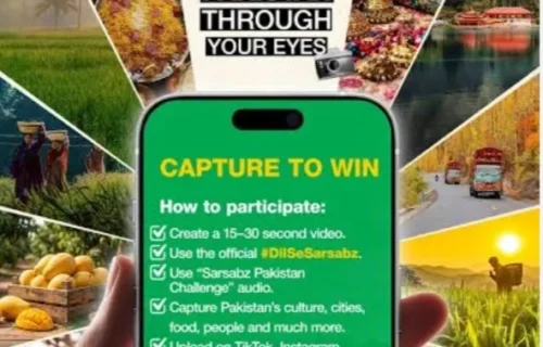 سرسبز نے یومِ آزادی پر دل سے دیکھو سرسبز پاکستان مہم شروع کردی