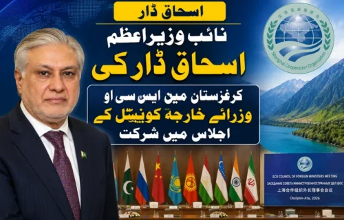 نائب وزیراعظم اسحاق ڈار کی شنگھائی تعاون تنظیم اجلاس میں شرکت