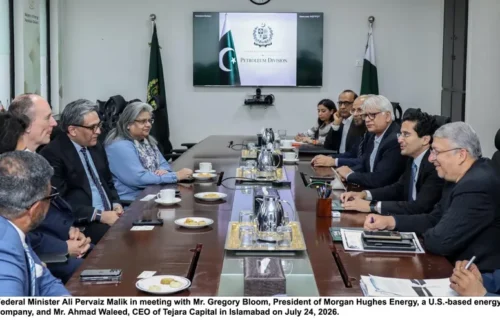 علی پرویز ملک کی عالمی توانائی کمپنیوں کے نمائندوں سے ملاقاتیں