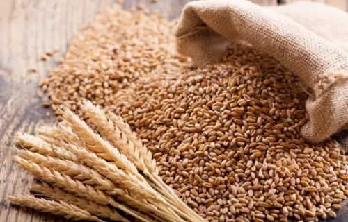 رانا تنویر حسین کی زیر صدارت ویٹ بورڈ اجلاس، گندم درآمد کا فیصلہ