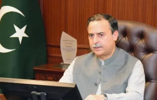 مینگرووز کی بحالی بلیو اکانومی کے فروغ کے لیے ناگزیر ہے