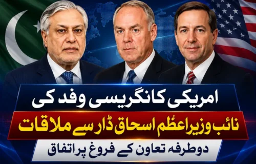 امریکی کانگریسی وفد کی اسحاق ڈار سے اہم ملاقات، دوطرفہ تعاون بڑھانے پر اتفاق