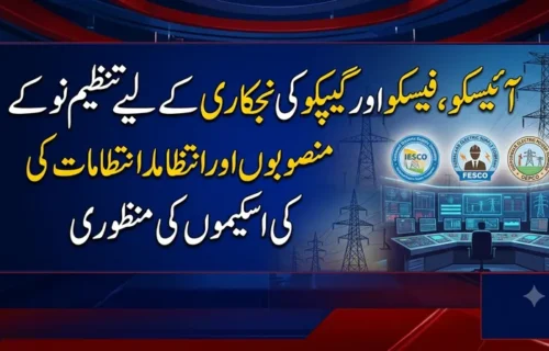 آئیسکو، فیسکو اور گیپکو کی نجکاری کے لیے اہم پیش رفت