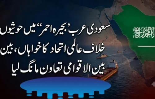 سعودی عرب کی بحیرۂ احمر میں حوثیوں کیخلاف عالمی اتحاد کی اپیل