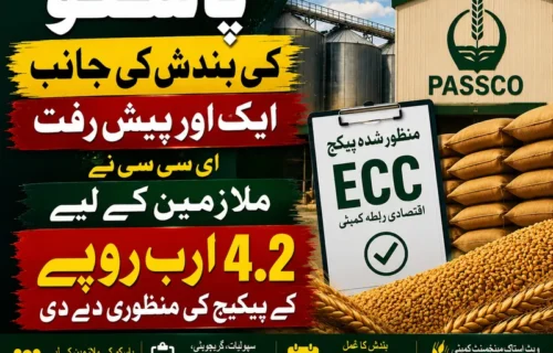 پاسکو کی بندش کیلئے ای سی سی نے 4.2 ارب پیکج منظور کر لیا