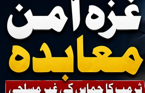 غزہ امن منصوبے کے تحت تخفیف اسلحہ کی پیش رفت کا خیرمقدم، فلسطینی ریاست کے قیام کے لیے عملی اقدامات ضروری ہیں: وزیراعظم شہباز شریف