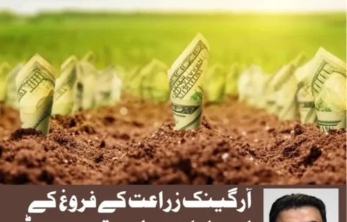آرگینک زراعت کے فروغ کیلئے قومی بورڈ کا قیام ناگزیر ہے، نجم مزاری