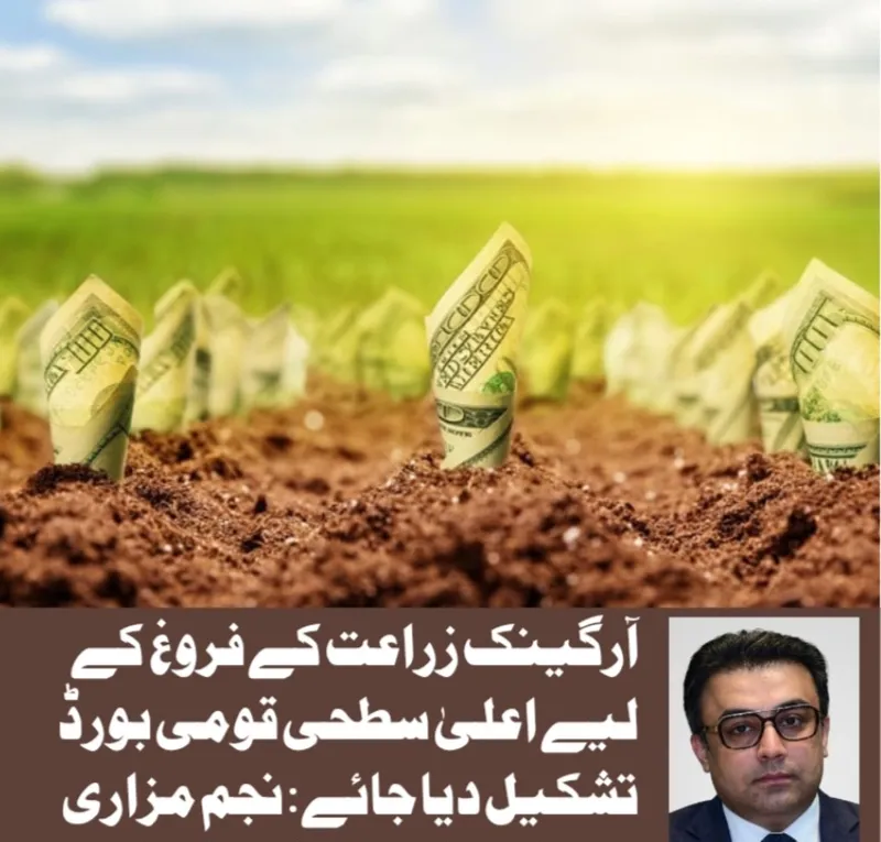 آرگینک زراعت کے فروغ کیلئے قومی بورڈ کا قیام ناگزیر ہے، نجم مزاری