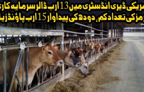 امریکی ڈیری انڈسٹری میں 13 ارب ڈالر کی سرمایہ کاری کا منصوبہ، ڈیری فارمز کی تعداد کم مگر دودھ کی پیداوار میں 15 ارب پاؤنڈ اضافہ ہو گا