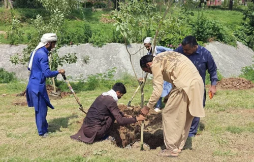 اسلام آباد کو خوبصورت اور سرسبز بنانے کیلئے شجرکاری مہم کا آغاز