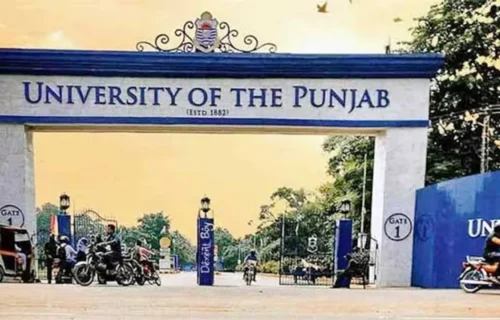 پنجاب یونیورسٹی میں اساتذہ کا یومِ سیاہ، معطل پروفیسرز سے اظہارِ یکجہتی، 29 اکتوبر کو جنرل باڈی اجلاس طلب