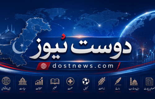 وزیراعظم شہباز شریف کی پاکستانی لیبر کی بین الاقوامی سرٹیفکیشن پر زور
